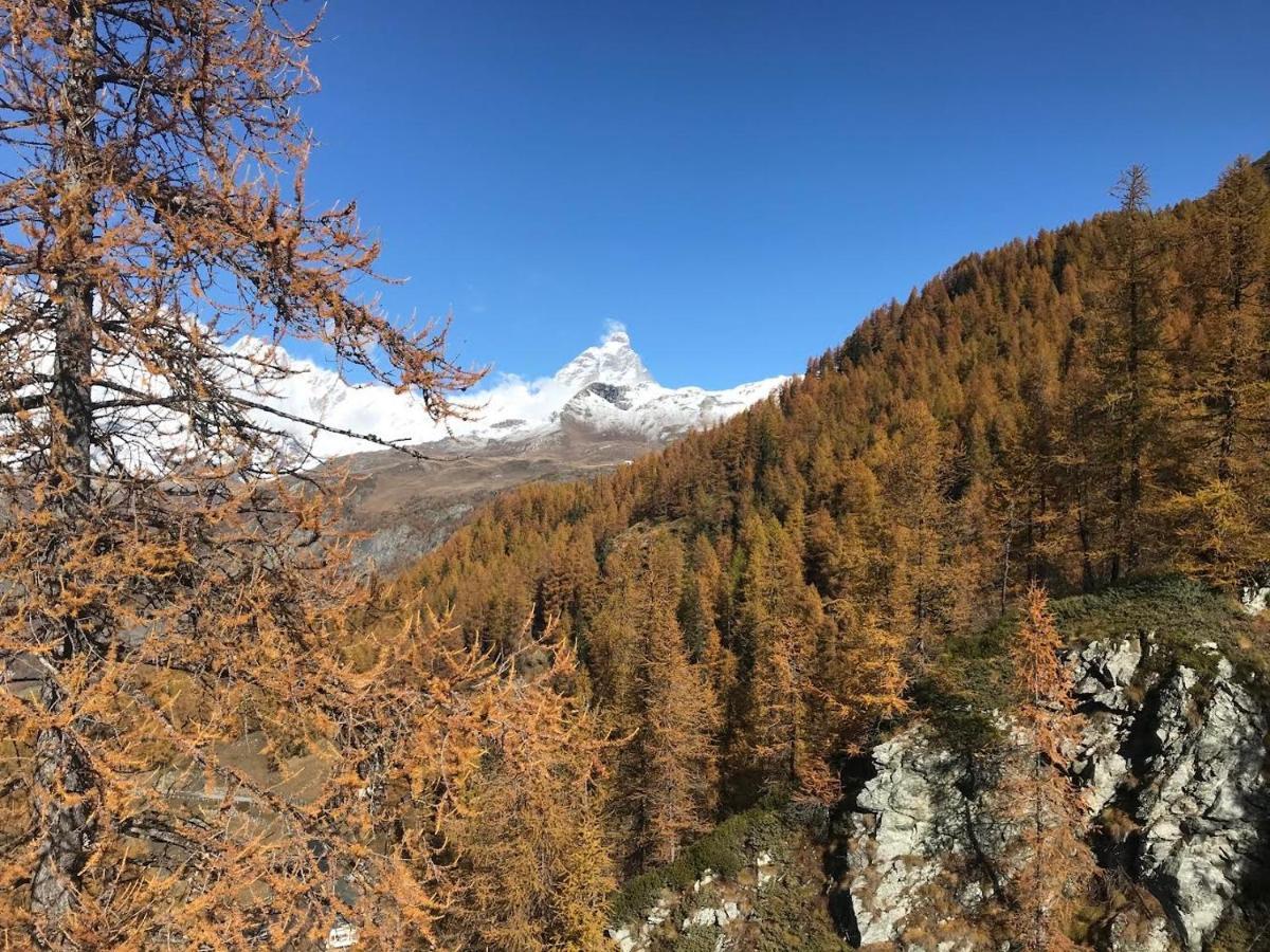Appartamento Cervinia Fronte Funivie Брей-Червінія Екстер'єр фото